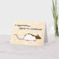 Brown and White Hooded Pet Rat. Birthday