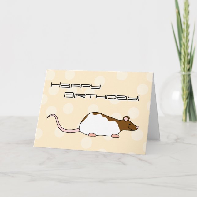 Brown and White Hooded Pet Rat. Birthday Card (Front)