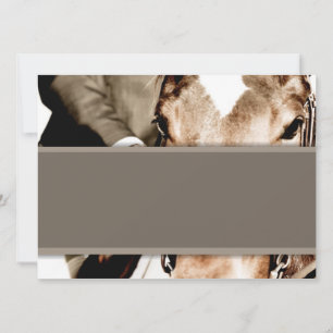 Brown and White Horse