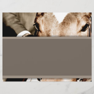 Brown and White Horse