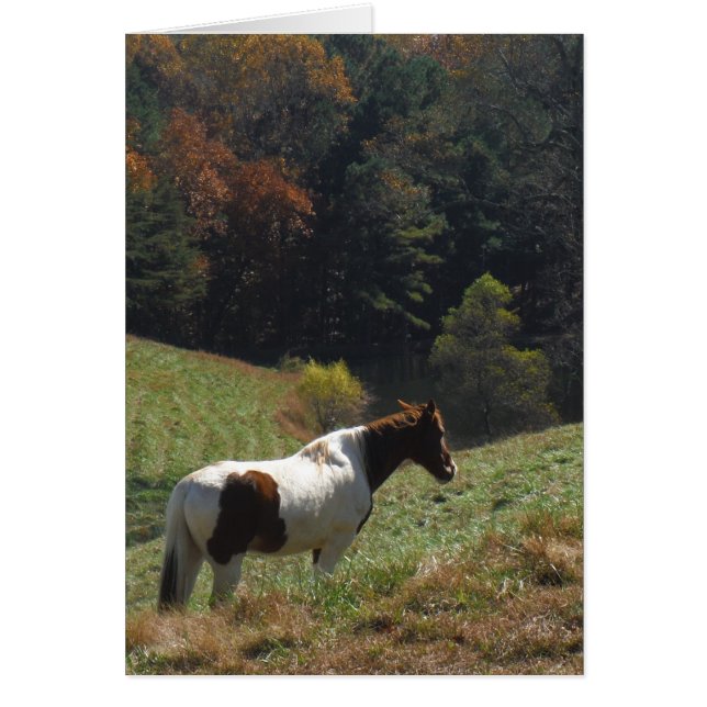 Brown and white horse at autumn pond (Front)