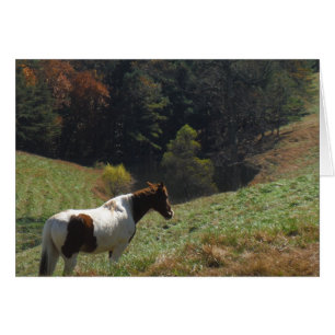 Brown and white horse at autumn pond