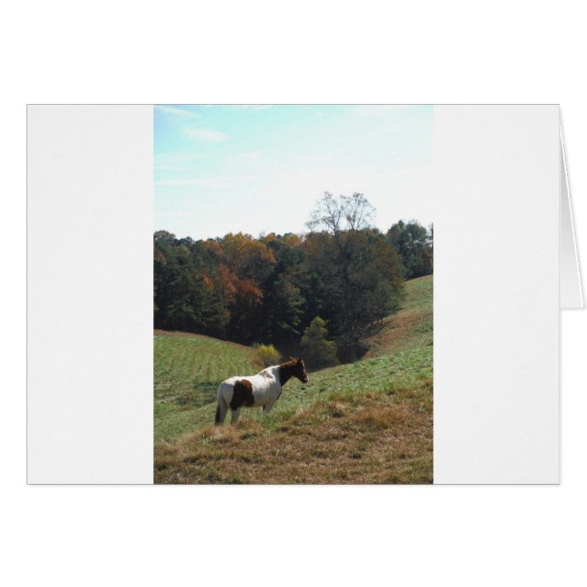 Brown and white horse at autumn pond (Front Horizontal)