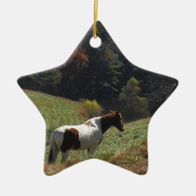 Brown and white horse at autumn pond ceramic tree decoration (Front)