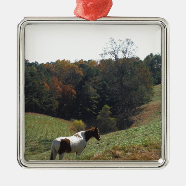 Brown and white horse at autumn pond metal tree decoration (Front)
