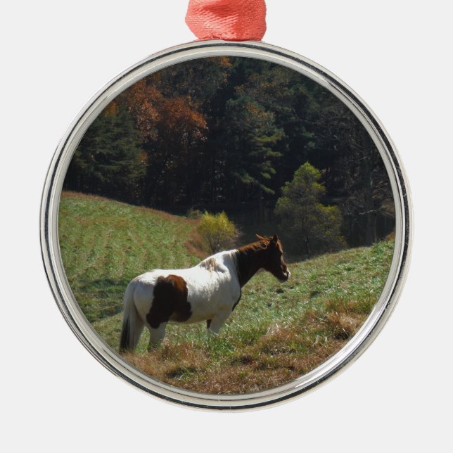 Brown and white horse at autumn pond metal tree decoration (Front)