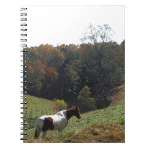Brown and white horse at autumn pond notebook