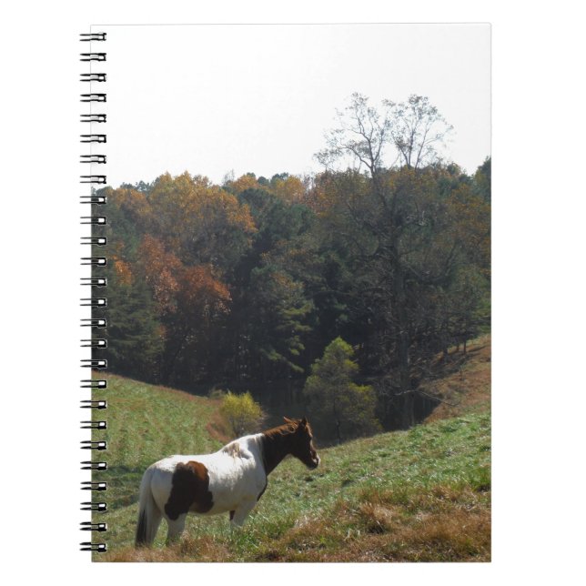 Brown and white horse at autumn pond notebook (Front)