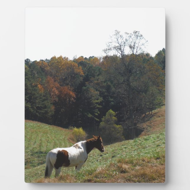 Brown and white horse at autumn pond plaque (Front)
