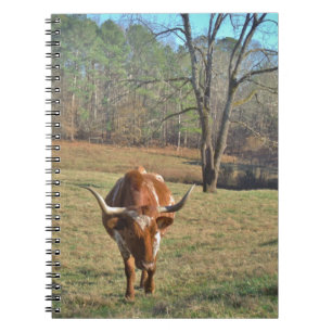 Brown and White Longhorn Bull Blue Sky Spiral Notebook
