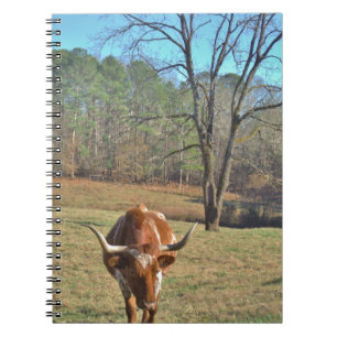 Brown and White Longhorn Bull Blue Sky Spiral Notebook