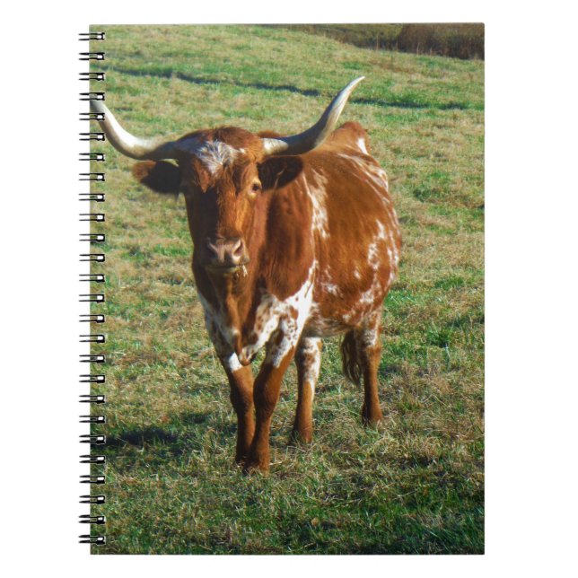 Brown and White Longhorn Bull Notebook (Front)