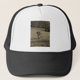 Brown and White Longhorn Bull Sepia Tone Trucker Hat