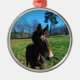 Brown and white mule metal tree decoration