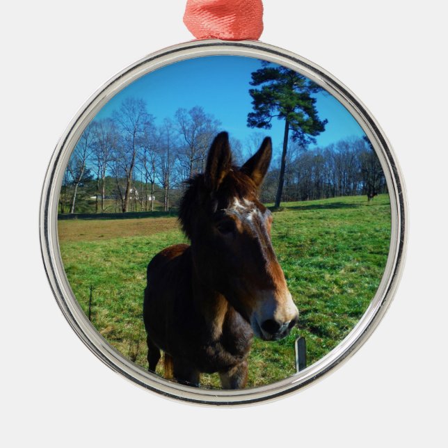 Brown and white mule metal tree decoration (Front)