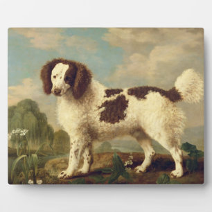 Brown and White Norfolk or Water Spaniel, 1778 (oi Plaque