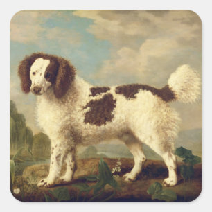 Brown and White Norfolk or Water Spaniel, 1778 (oi Square Sticker
