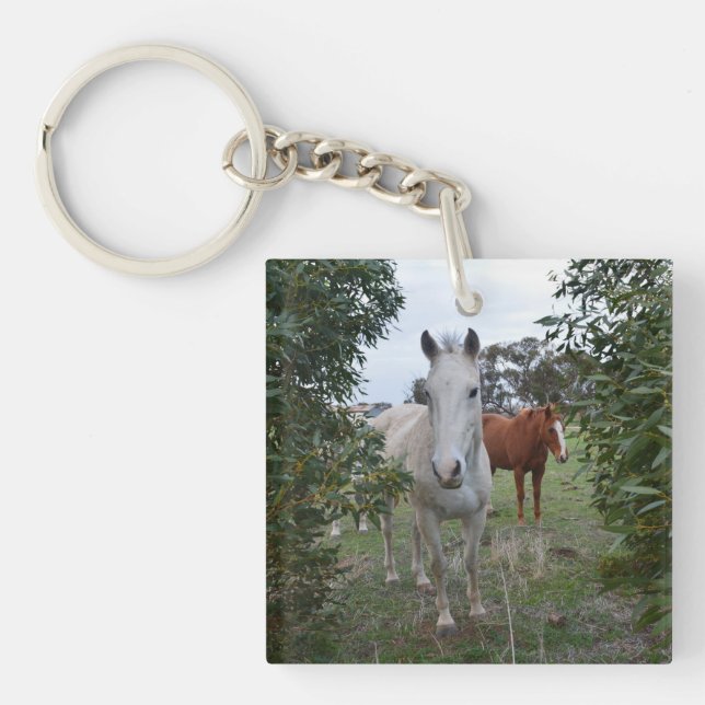 Brown And White Peekaboo Horses,- Key Ring (Front)