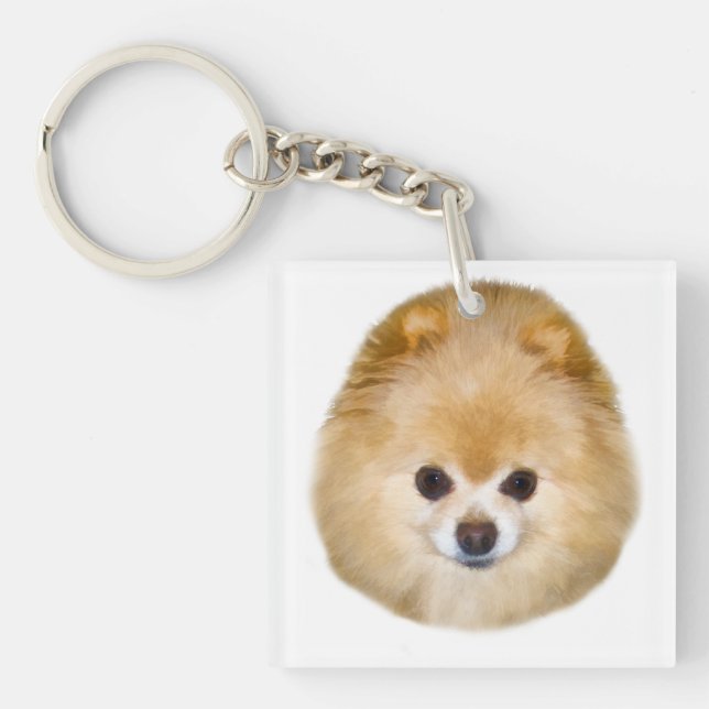 Brown and White Pomeranian Dog Key Ring (Front)
