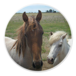 Brown And White Ponies, Ceramic Knob