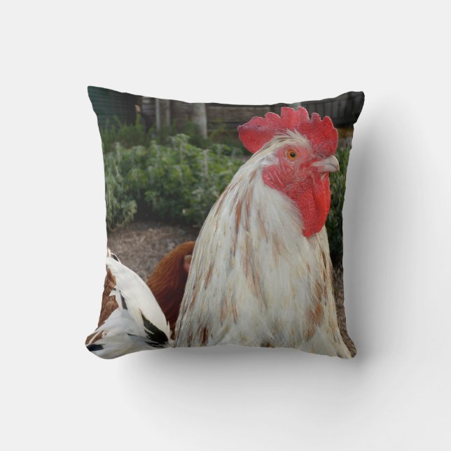 Brown And White Proud Rooster, Throw Cushion. Cushion (Front)