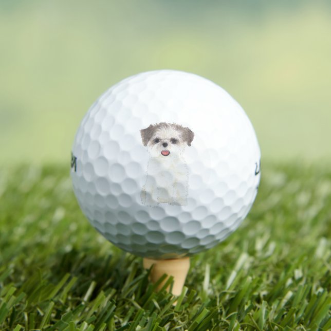 Brown and White Shih Tzu Golf Balls (Insitu Tee)