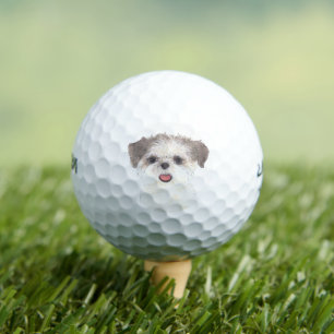 Brown and White Shih Tzu Golf Balls
