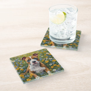 Brown And White Staffordshire Bull Terrier Puppy, Glass Coaster