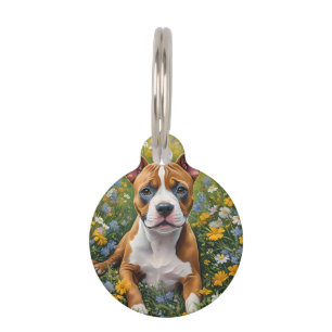 Brown And White Staffordshire Bull Terrier Puppy, Pet Tag