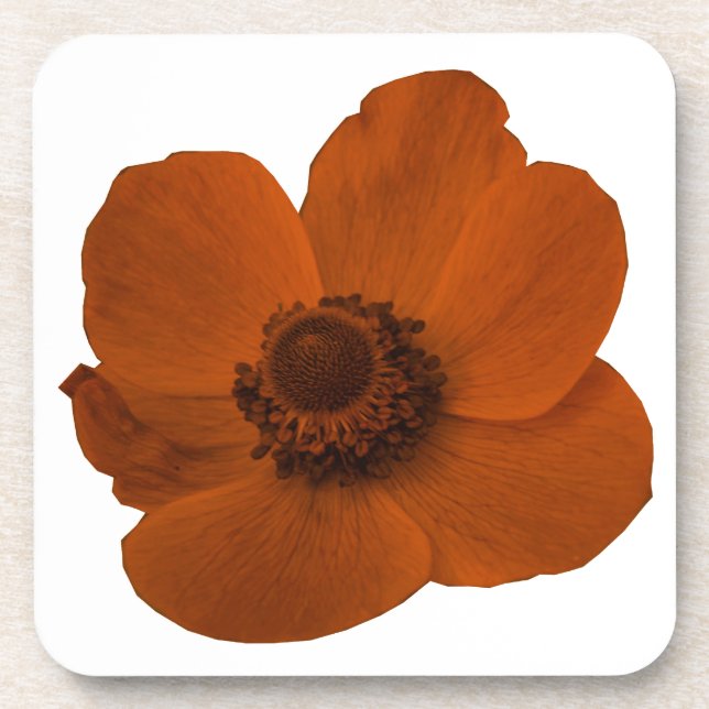 Brown Anemone Cork Coaster (Front)