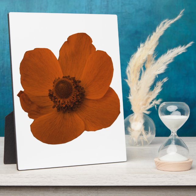 Brown Anemone Plaque (Side)