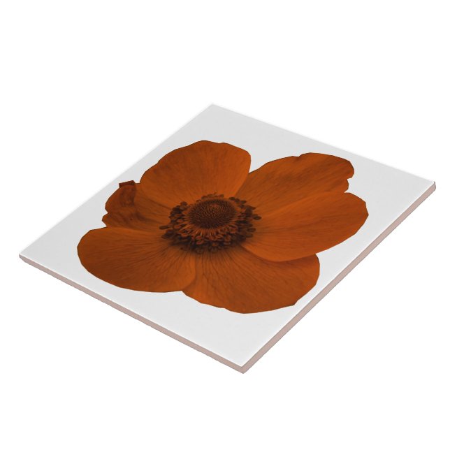 Brown Anemone Tile (Side)