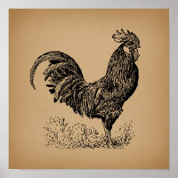 Brown Antique Rooster Illustration Chicken Art