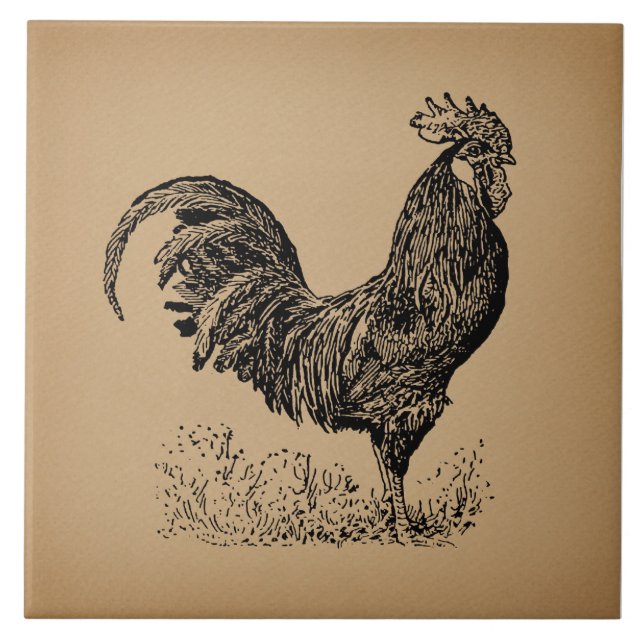 Brown Antique Rooster Illustration Chicken Art Tile (Front)