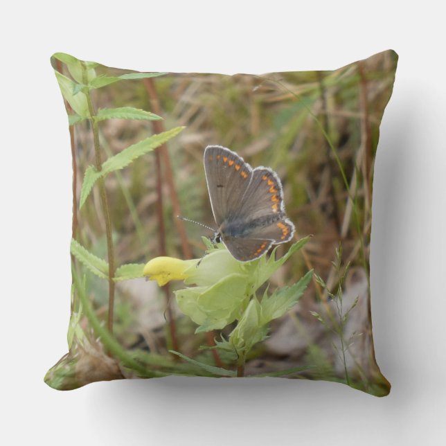Brown Argus Butterfly Throw Pillow (Front)