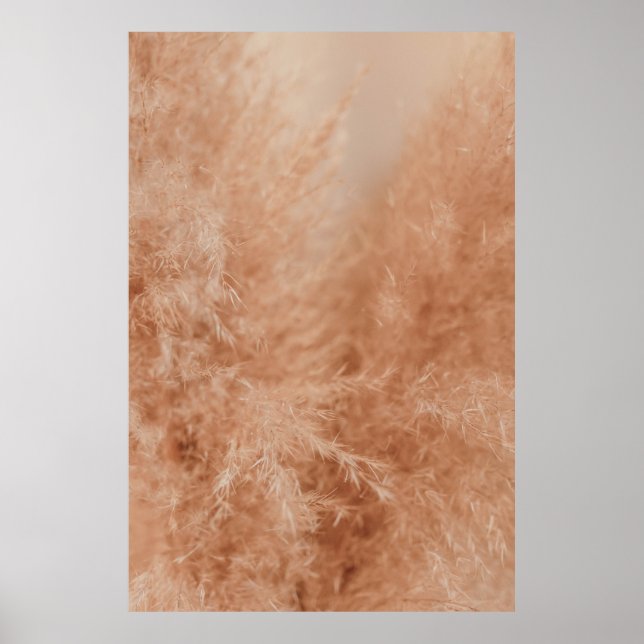 Brown Background Poster (Front)