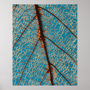 Brown bare tree under blue sky in the morning poster