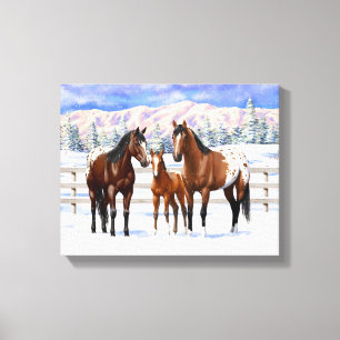 Brown Bay Appaloosa Horses In Snow Canvas Print