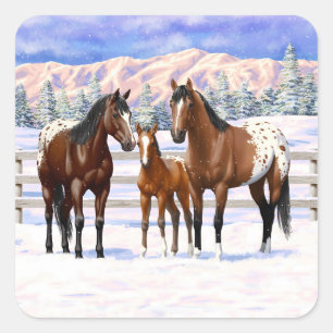 Brown Bay Appaloosa Horses In Snow Square Sticker