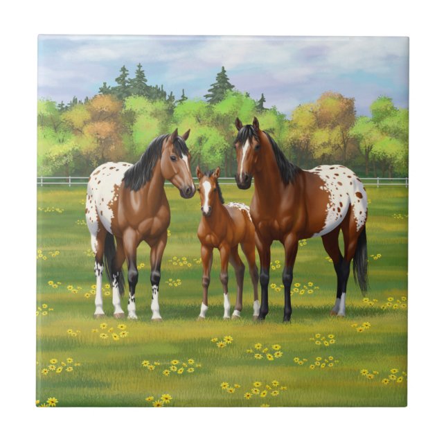 Brown Bay Appaloosa Horses In Summer Pasture Tile (Front)