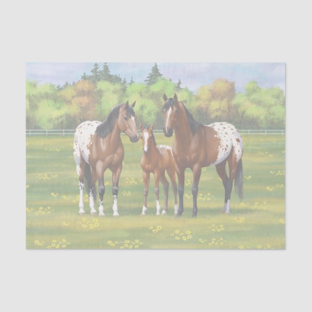 Brown Bay Appaloosa Horses In Summer Pasture Tissue Paper (Front)