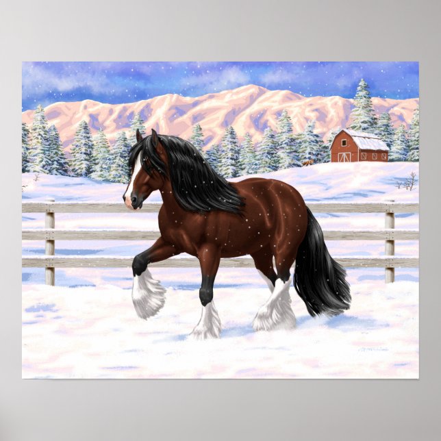 Brown Bay Gypsy Vanner Draught Horse In Snow Poster (Front)