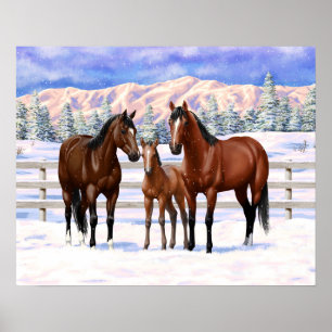 Brown Bay Quarter Horses In Snow Poster