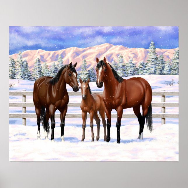 Brown Bay Quarter Horses In Snow Poster (Front)