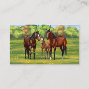Brown Bay Quarter Horses In Summer Pasture Business Card