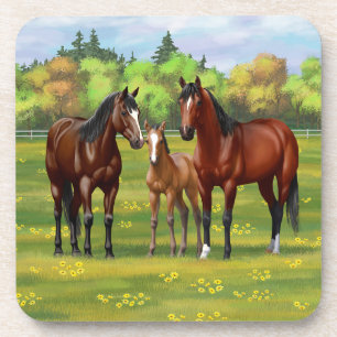 Brown Bay Quarter Horses In Summer Pasture Coaster