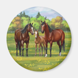 Brown Bay Quarter Horses In Summer Pasture Magnet