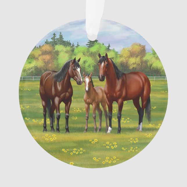 Brown Bay Quarter Horses In Summer Pasture Ornament (Front)
