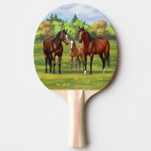 Brown Bay Quarter Horses In Summer Pasture Ping Pong Paddle