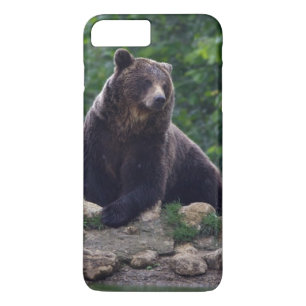 Brown bear Case-Mate iPhone case